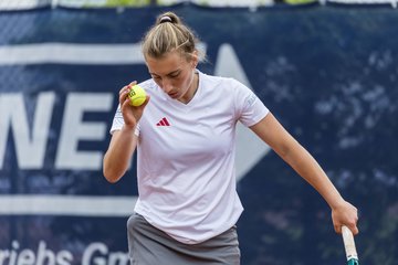 Bild 213 - BL DTV Hannover - BW Dresden Blasewitz : Ergebnis: 2:7